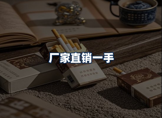 专业团队办公环境